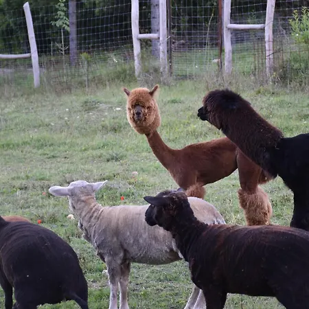 Kisleshegy Vaszoly Vendeghaz Chaletu