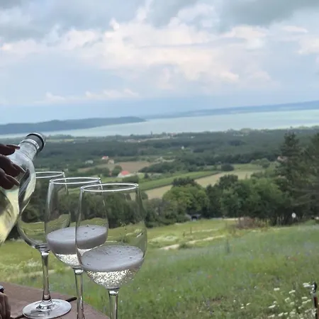 Chalet Kisleshegy Vaszoly Vendeghaz