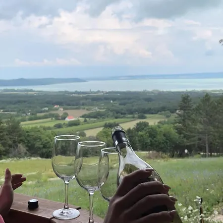 Kisleshegy Vaszoly Vendeghaz Chaletu *